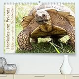 PREMIUM-LINIE - Brillanter Fotokalender mit 12 wunderschönen Motiven, Kunstdruck in Hochglanz in Museumsqualität