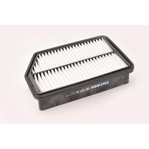 Filtron Filtro dell' aria, ap107/8