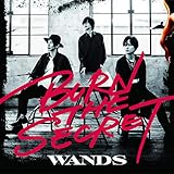 「BURN THE SECRET」通常盤 (CD)