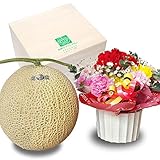 メロンショップマエシ