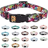 COSYHOMELONDON Collier pour Chien, Motif Tendance avec Boucle à dégagement Rapide, Collier Classique en Nylon Réglable pour Petits, Moyens et Grands Chiens (Floral B, S)