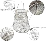 Zoom IMG-1 yaoyaoling cestino per pesci in Zoom IMG-1 yaoyaoling cestino per pesci in