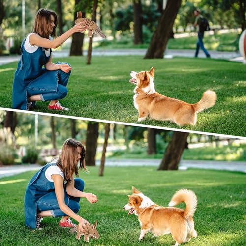 Juguetes mordibles y sonoros para perros duros miniatura 6