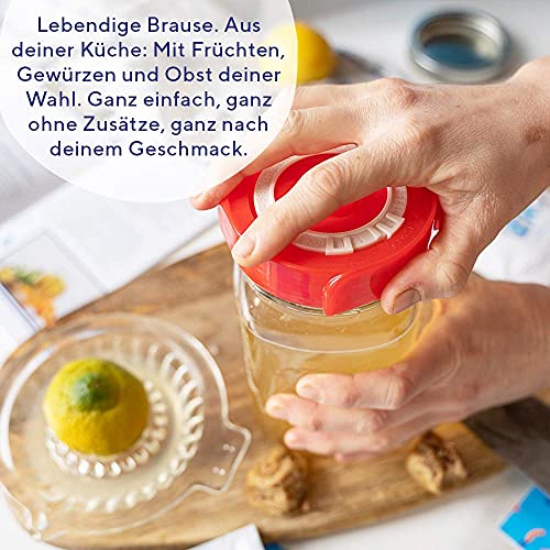 Fairment Starterkit Water Kefir met actieve Kefir-kristallen met simpele Handleiding (mogelijk niet beschikbaar in het… - Image 8