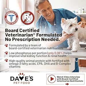   Daves-Pet-Food-Kidney-Support-for-Dogs-with-Renal-Support-Tuna-Pate-Wet-Renal-Dog-Food-Non-Prescription-Low-Phosphorus-Added-Vitamins-Mineral-Vet-Formulated-132-oz-Pack-of-12