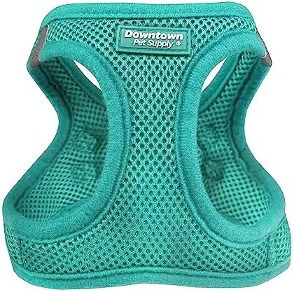 Downtown Pet Supply Step in Dog Harness for Small Dogs No Pull, Large, Bermuda Blue - Adjustable Harness with Padded Mesh Fabric and Reflective Trim - Buckle Strap Harness for Dogs