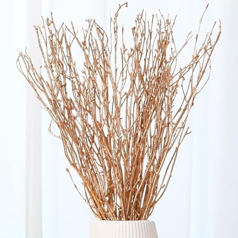 30Pcs Real Dried Birch Twigs - 17" Golden Decorative Birch Branches for Vase, Centerpiece, Wedding Decor, Birch Sticks for DIY Crafts, Twig Wreath, Flower Arrangement, Plants for Rustic Home Decor Cover