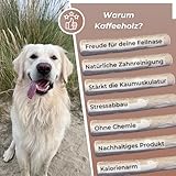 Zoys® Kaffeeholz Kokosseil M – Natürlicher Kauartikel & Zerrspielzeug für Hunde 15 kg – Koffeinfrei, splitterarm – Unterstützt Zahnreinigung – Robust nachhaltiges Hundespielzeug