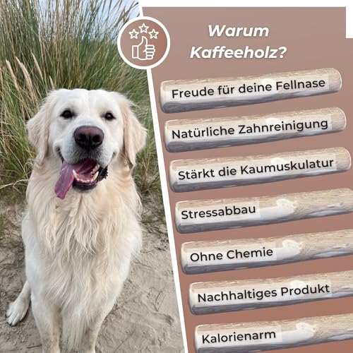 Zoys® Kaffeeholz Kokosseil M – Natürlicher Kauartikel & Zerrspielzeug für Hunde 15 kg – Koffeinfrei, splitterarm – Unterstützt Zahnreinigung – Robust nachhaltiges Hundespielzeug