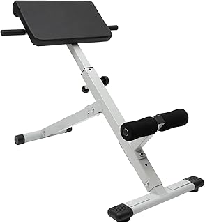 BYGOVICE Roman Chair Hyper extension Bench, Adjustable Length Back Extension Bench Machine for Home Gym Fitness, Multi-Fun...