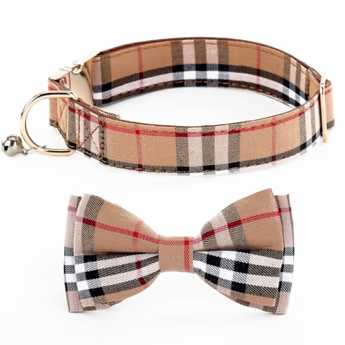 SuperBuddy ̎ lN^Ct - vX`bNobNťp߉\ȃybg X^CbVȃp^[ ܂͑^̒j̎qƏ̎q̌