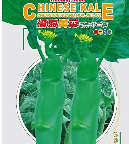 Preisvergleich Produktbild GEOPONICS Castania ägyptischen Small350 Gram