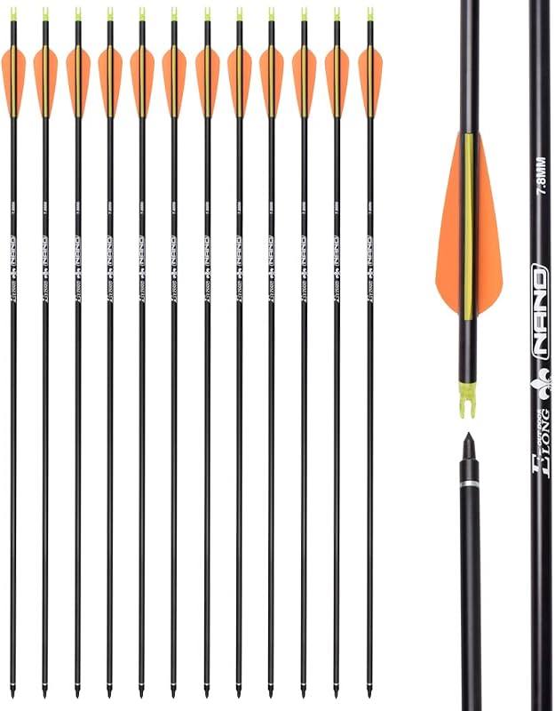 Flèches de Chasse en Carbone avec Pointes Amovibles de 100 Grains pour tir à l'arc composé et Classique et tir à l'arc Traditionnel (Lot de 6/12)
