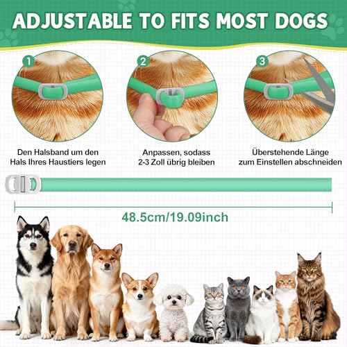 2 Pcs Floh Zeckenhalsband für Katzen & Hunde | Bis zu 16 Monate Langzeitschutz | Natürlicher Floh- und Zeckenschutz | Wasserdichter Verstellbares (Grün, Universal)