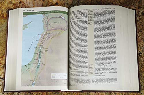 Nrsv, Cultural Backgrounds Study Bible, Hardcover, Comfort Print: Bringing to Life the Ancient World