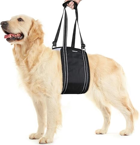 dog rehab sling