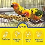 Birds LOVE Economy & Thin Special Spray Millet | GMO-Free (No Stems Only Edible Tops) for Birds Cockatiel, Lovebird, Parakeet, Finch, Canary All Parrots Healthy Treat 7 oz -Pack of 2 - Image 4