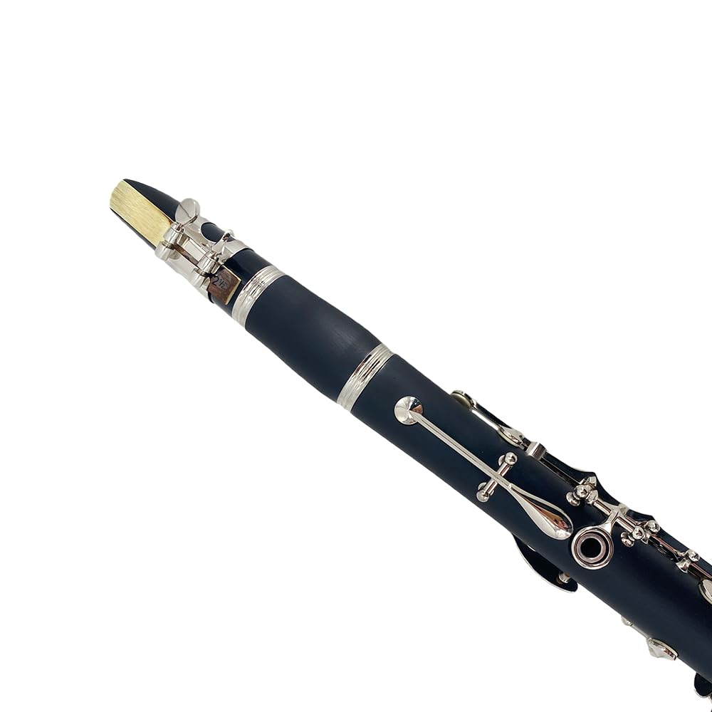 Clarinete para principiantes, clarinete profesional de ebonita con 2 barriles, kit de limpieza de estuche rígido, guantes de grasa de corcho y boquilla (llave BB)