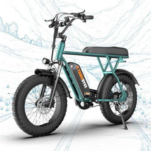T63 Electric Bike for Adults&Teens, 20-4''Fat Tire...