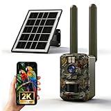Wosee365 Trail Camera, 4G Cellular Trail Camera with Built-in SIM Card, 64MP Photo & 1296P HD Video, Mini Game Camera with Night Vision 0.1s Trigger Time, Motion Activated Waterproof IP66