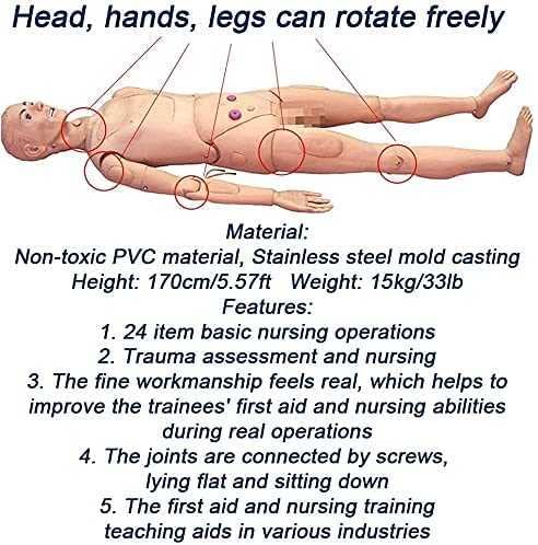 Nursing Training Manikin, Demonstration Human Manikin For Nursing Training, Training Cpr Simulator, 170 Cm Male & Female Pvc Anatomical Mannequin, Body Care Simulator Model #TOP1