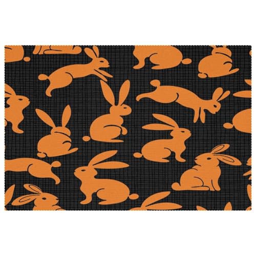 Sets de table antidérapants orange lapin anti tache chaleur - 2