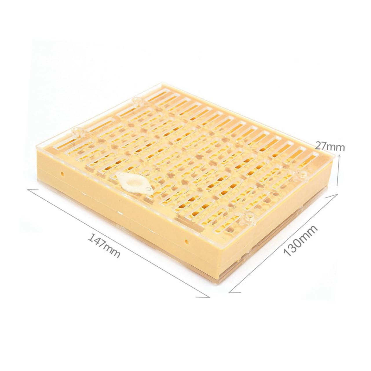 Milisten Caja De Cría Queen De Plástico Kit De Copas Para Celdas De Abejas Herramientas De Apicultura