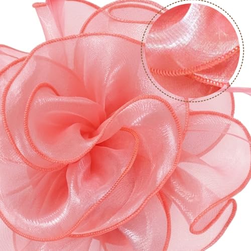 Image of DRESHOW Fascinators Hat Tea Party Headwear Ribbons Feathers on a Headband and a Clip for Women