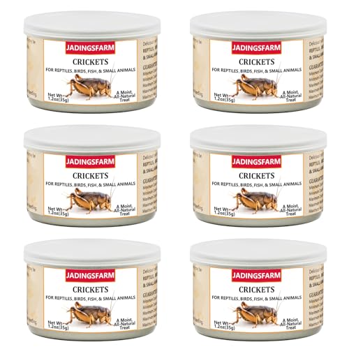 JADINGSFARM 6 Pack Canned Crickets for Reptiles Fish Birds and Small Animals Crickets Healthy High Protein Treat Reptile Bird Fish Food 7.2 Ounces Total