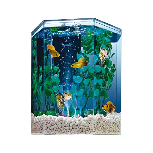 Tetra 29040 Hexagon Aquarium Kit with LED Bubbler, 1Gallon