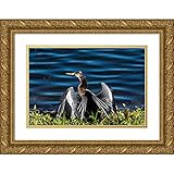 ArtDirect Haddad, Sheila 40x28 Gold Ornate Wood Framed with Double Matting Museum Art Print by Haddad, Sheila