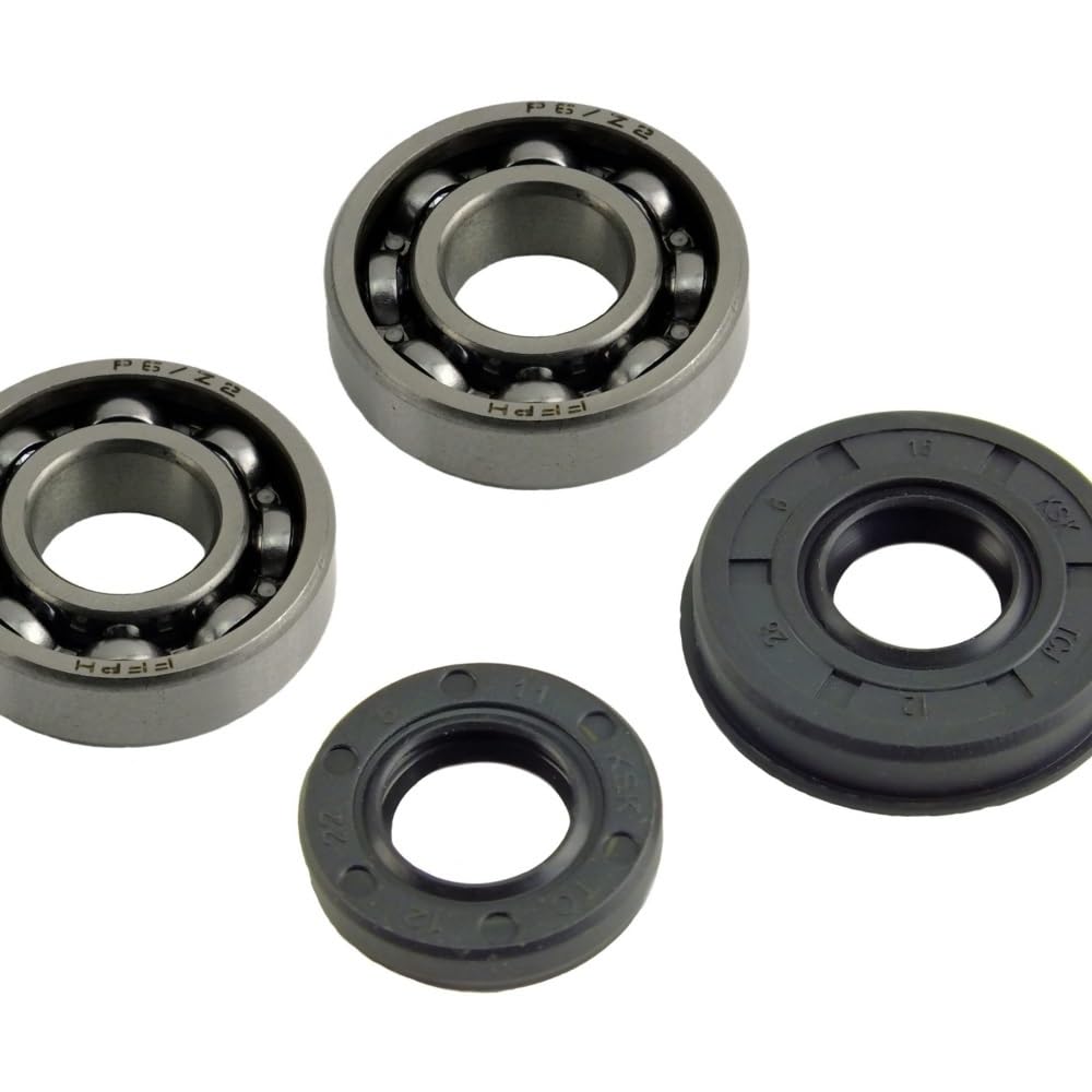 Kit de Sello de Aceite G2500 ideal para reparaciones en el jardín