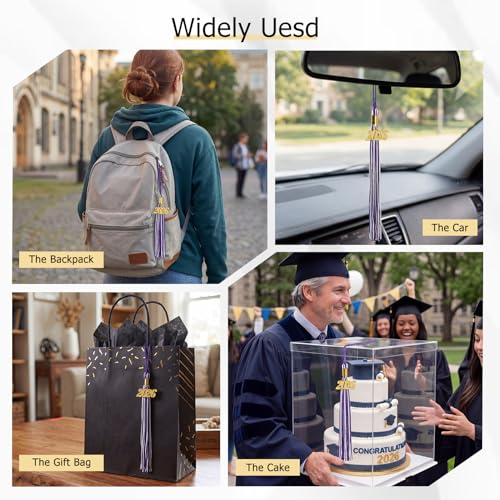 Image of GraduationMall Single&Multiple Color Graduation Tassel with 2026 Year Charm 9 inch