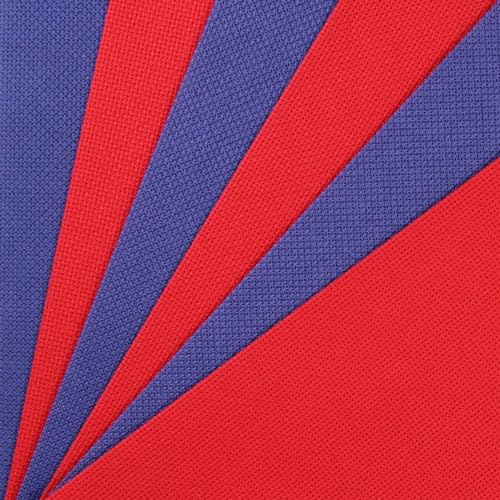 Image of KCS 4 /6 pc of 12 inch x 18 inch(30cmx45cm) 18CT Counted Cotton Aida Cloth Cross Stitch Fabric (6 pc,Red+Royal Blue)