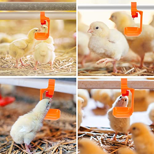 Alimentador de Aves de Avicultura de Mamilos de Frango: 10 Pcs Água Mamilos Automáticos Bebedores pa