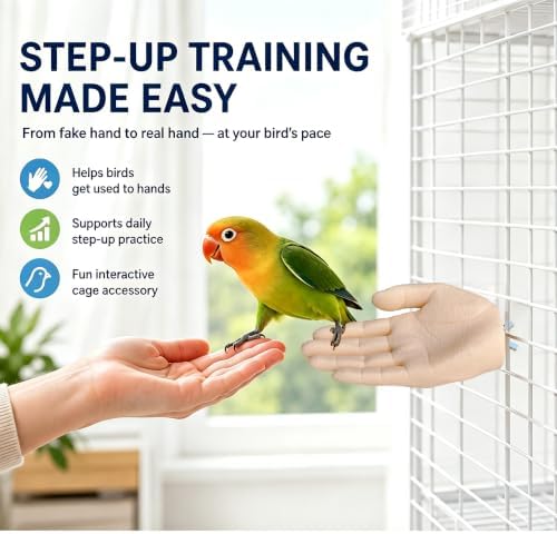 Hand-Shaped Parrot Perch, Finger Stand for Step Up Training — 사진 2