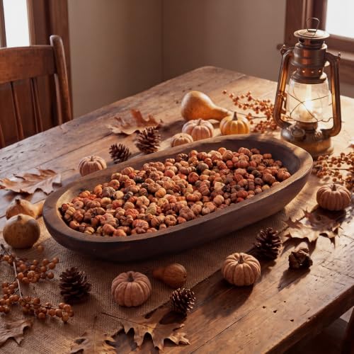 Junkin Mini Dried Pumpkin Pods (Natural Putka Seed Pods) for Potpourri Bowl Fillers Fall Thanksgiving Rustic Farmhouse Decor Dried Floral Vase & Centerpiece Table Scatter Supply 4 Heaping Cups