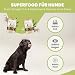 SANUUS Vegane Hundeleckerli Bio Hundesnacks aus Hanfpellets 2x500g - 100% natürliches Hundeleckerli getreidefrei für Hunde als Trainingsleckerli oder Hundesnack vegetarisch - Made im Allgäu