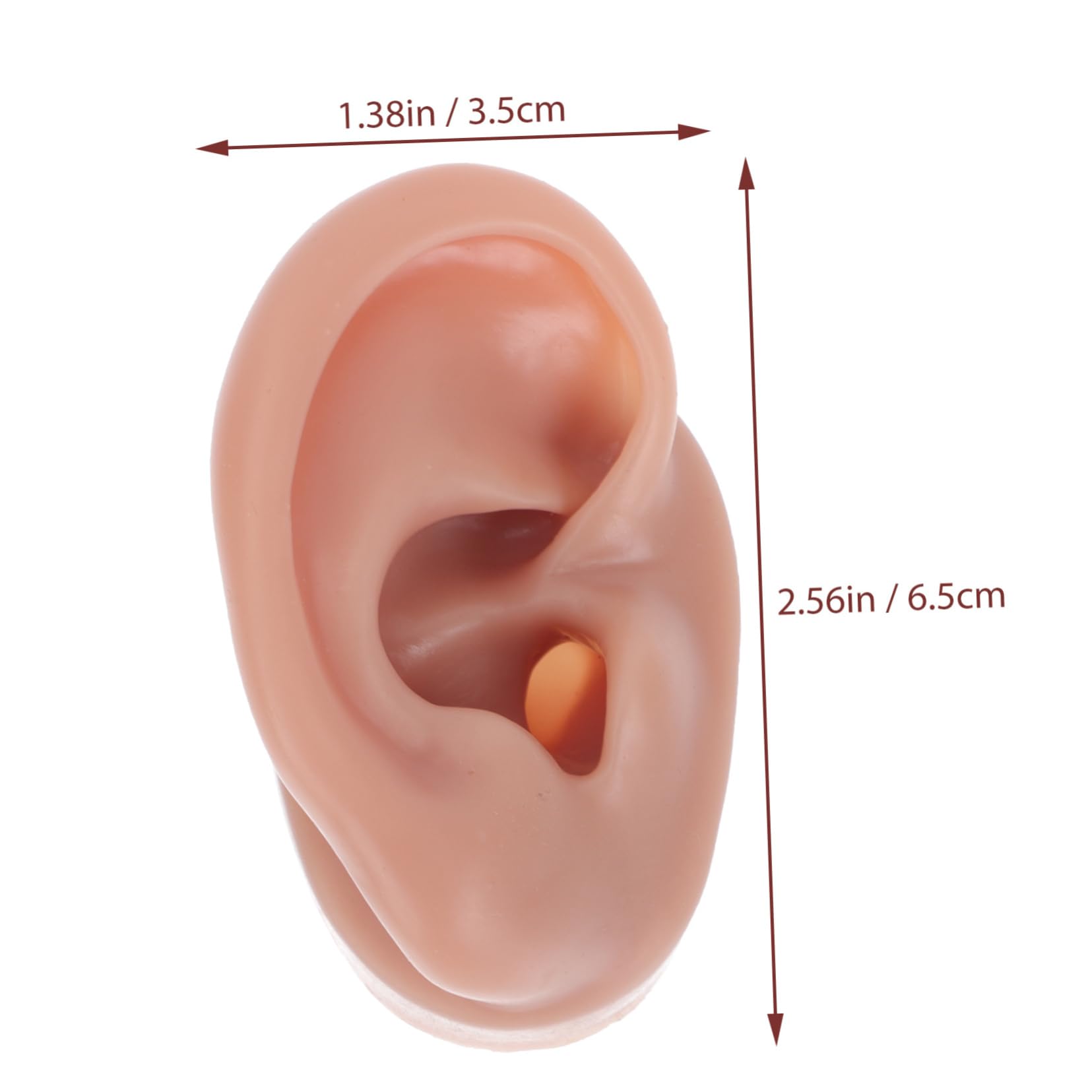 HAPINARY Silicone Ear Model for Piercing Reusable Realistic Human Ear Practice Tool