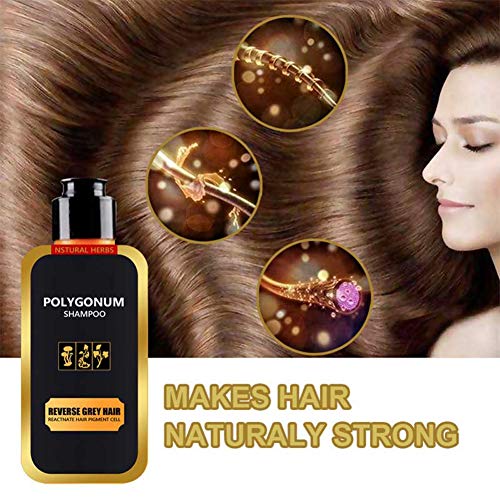 URMAGIC Natural Polygonum Multiflorum Shampoo