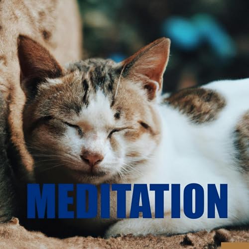 Meditation cover art