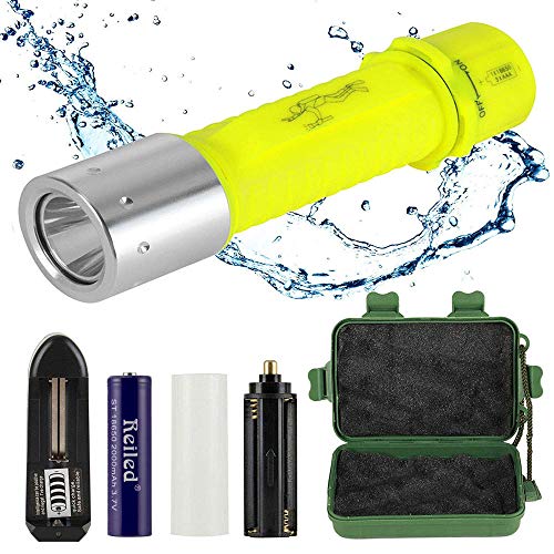 The Best Dive Lights To Buy In April Of 2021