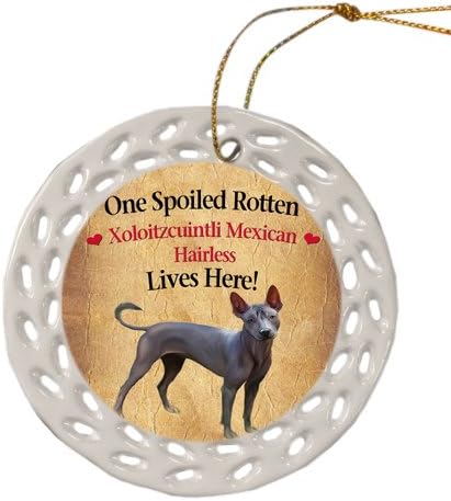 Amazon Co Jp Xoloitzcuintliメキシカン ヘアレス ドッグクリスマスdoilyセラミックオーナメント おもちゃ