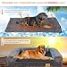 BingoPaw Orthopädisches Hundebett Grosse Hunde: XXL Hundesofa Hundekorb mit Schaumkissen, Waschbar Abnehmbar Flauschig rutschfest Hundebetten Grau 120x90x20 cm