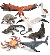 THINKBAY 8PCS Galapagos Island Animal Figurines Set, Realistic Giant Tortoise Sea Animal Toys Inc...