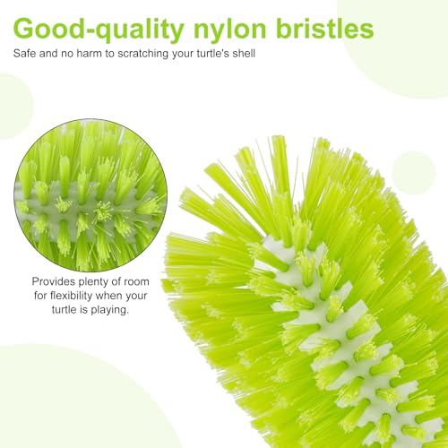 Image of 2pcs Turtle Shell Cleaning Brush, Turtle Scrub Brush with Suction Cup Tortoise Scratcher Supplies Exfoliate Scratcher for Tortoise Aquarium Tank Accessories (Green)