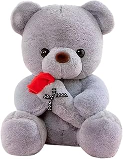 CHENGLI 25cm Teddy Bear Plush Toy Teddy Bear Plush Toy with Rose Cute Stuffed Teddy Bear Gifts for Christmas Valentine’s Day Birthday Party Grey
