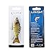 Lixada Fishing Lure for Bass 4