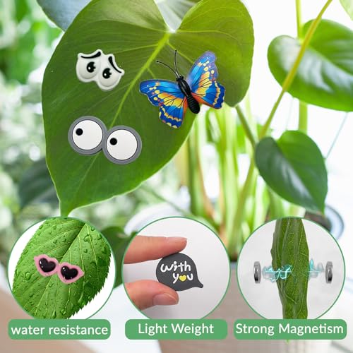 Yeux de Plantes Aimantés pour Décorer les Feuilles sans les Abîmer