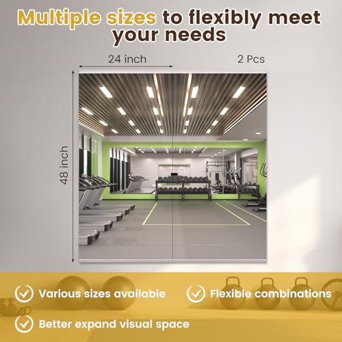 Image of LOAAO Home Gym Mirror 48 inchx24 inch, 2 PCS